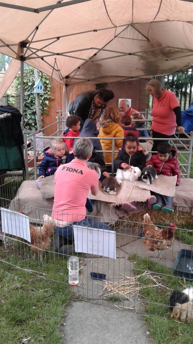9th May 2019 - Fiona 's Therapy farm brought her farm animals to our back garden. There were goats, lambs, chickens, rabbits and guinea pigs. We stroked them and brushed their fur. We asked lots of questions and found out what they eat and where they live. It was great fun!